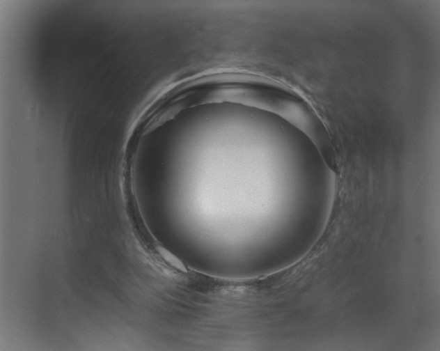 X0000070170152200605261205