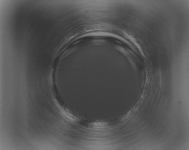 X0000070170154200605261205