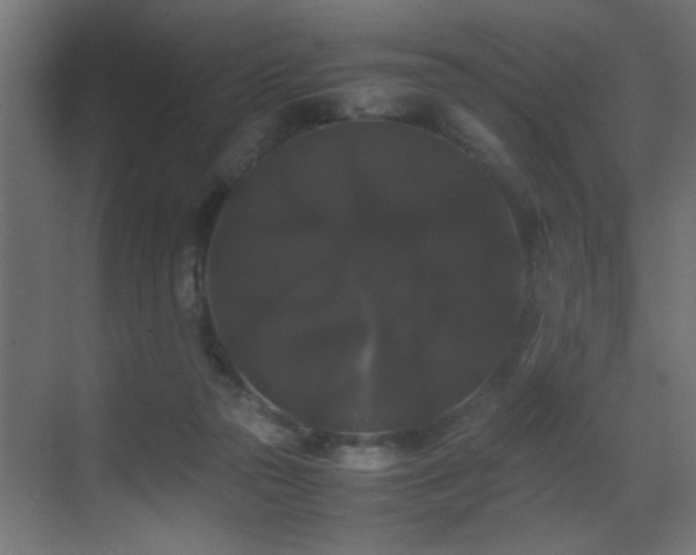 X0000070170169200605261205
