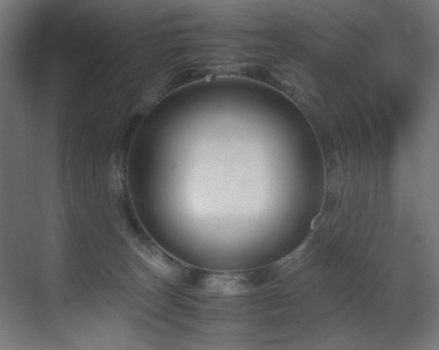 X0000070170179200605261205