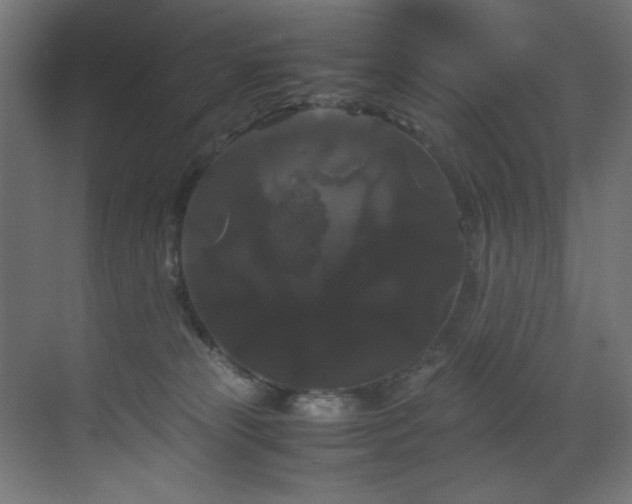 X0000070170181200605261205