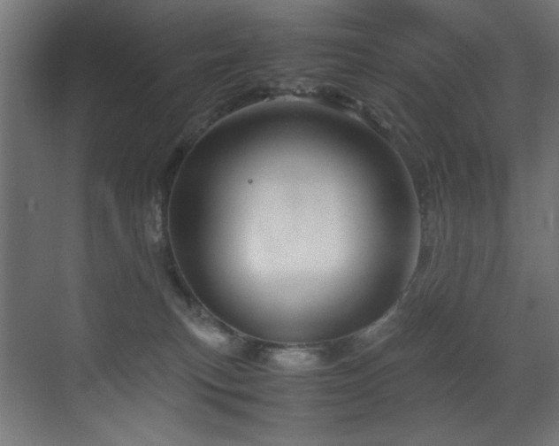 X0000070170183200605261205