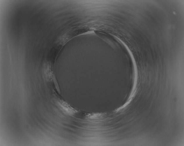 X0000070170186200605261205