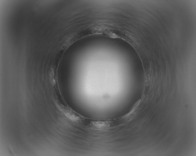 X0000070170187200605261205