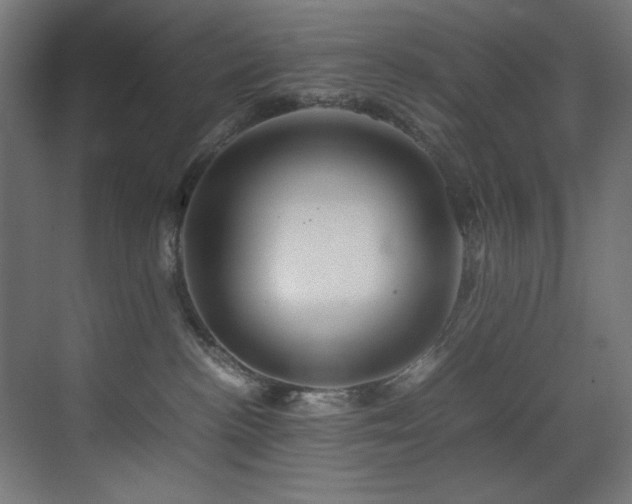 X0000070170188200605261205