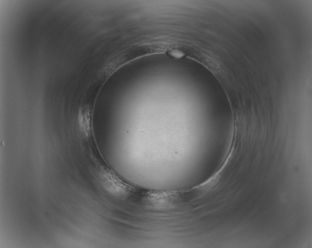 X0000070170190200605261205