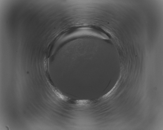 X0000070170192200605261205