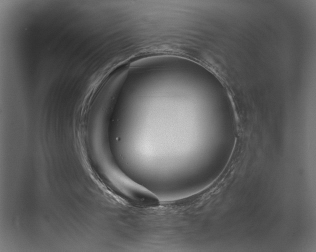 X0000070170193200605261204