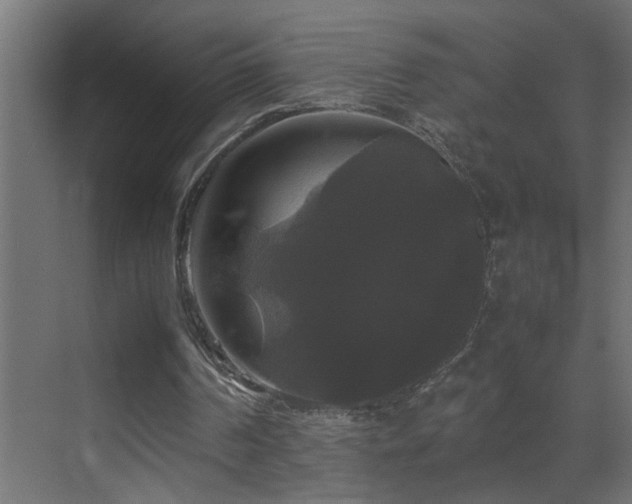 X0000070170194200605261204
