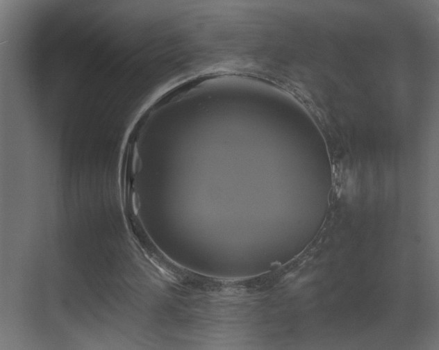 X0000070170196200605261204