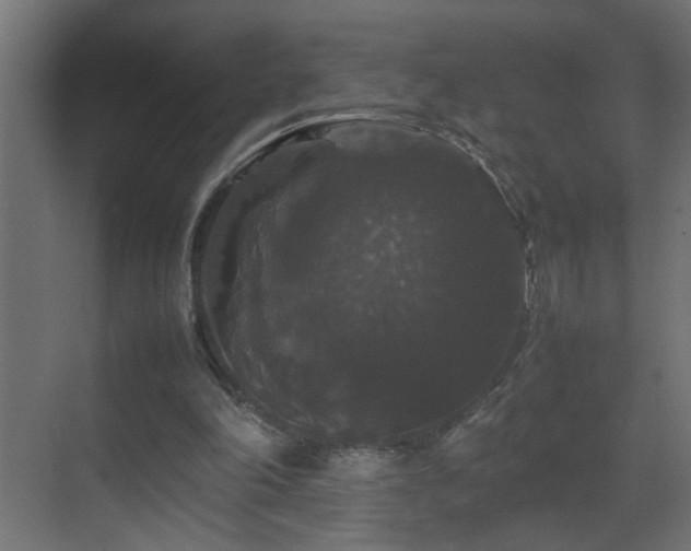 X0000070170198200605261204