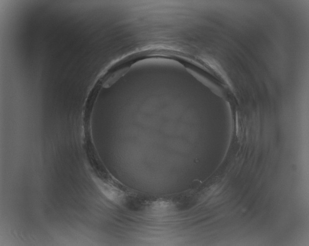 X0000070170204200605261204