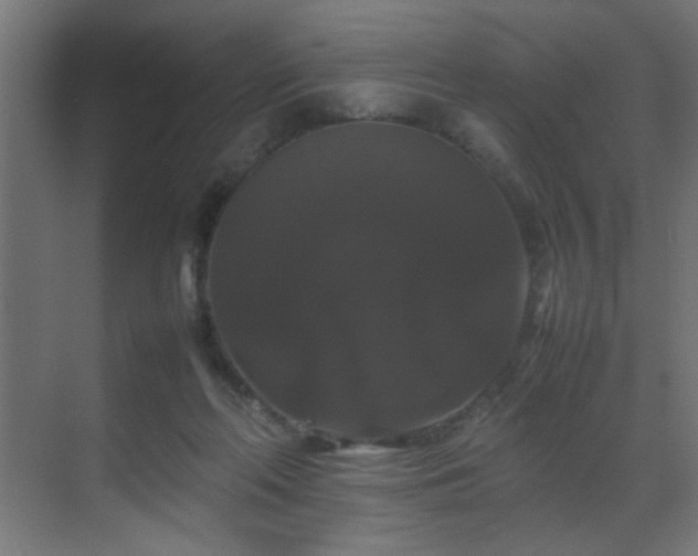 X0000070170214200605261204