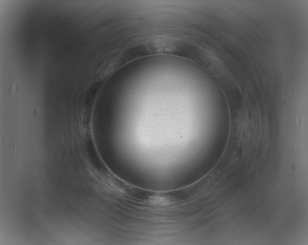 X0000070170218200605261204