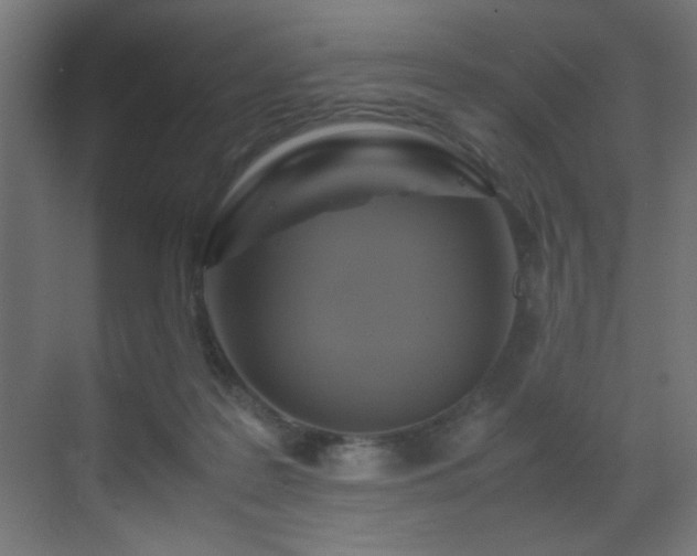 X0000070170219200605261204