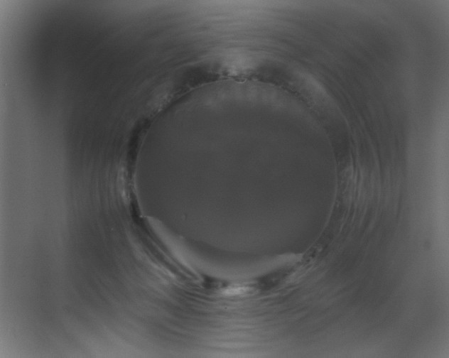X0000070170222200605261204