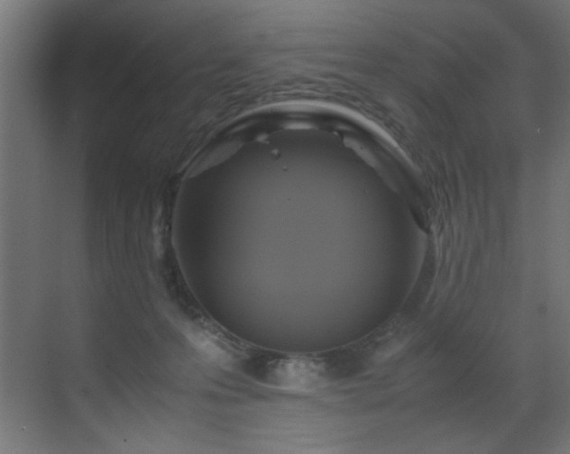 X0000070170223200605261204