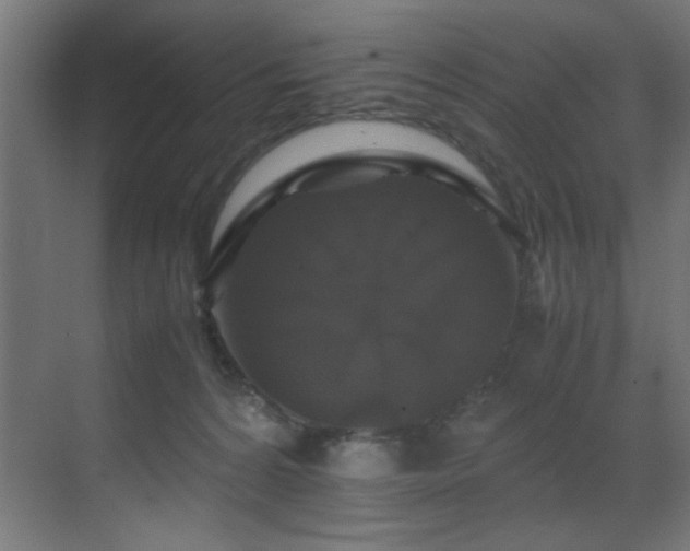 X0000070170224200605261204