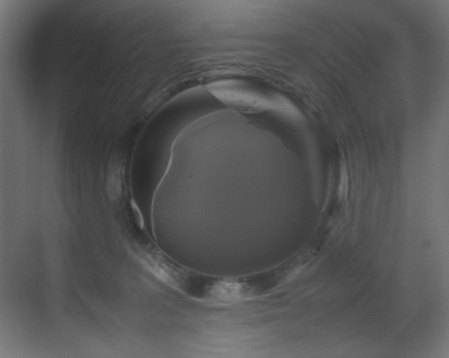 X0000070170227200605261204