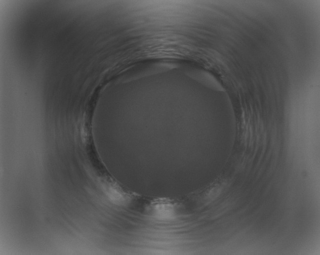 X0000070170228200605261204