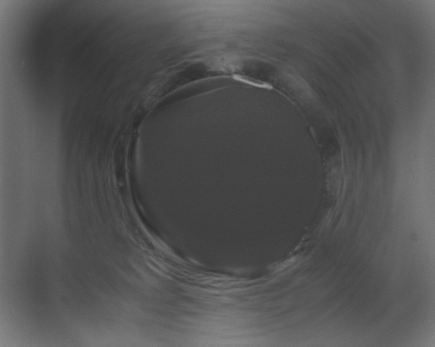 X0000070170229200605261204