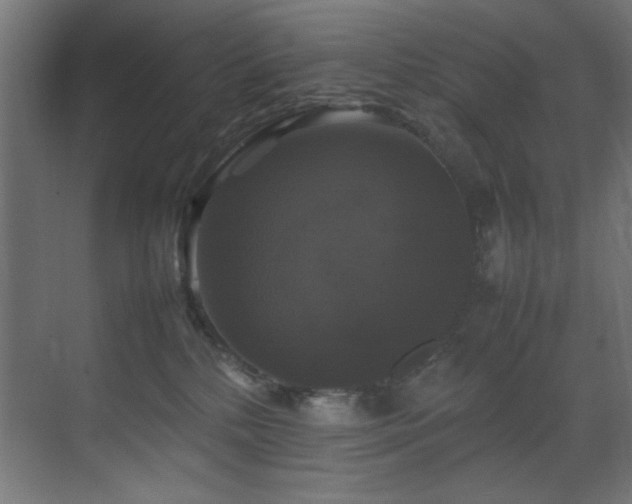 X0000070170232200605261204