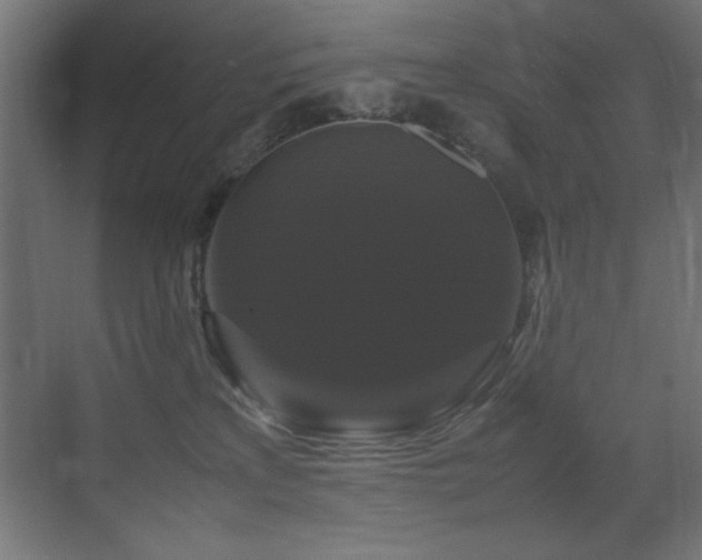 X0000070170233200605261204