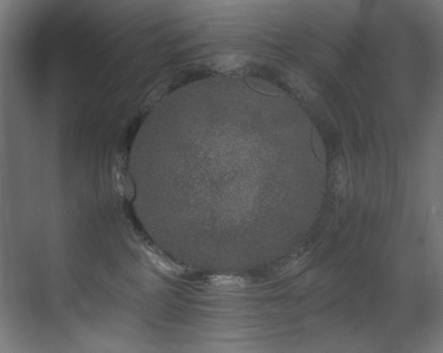 X0000070170234200605261204