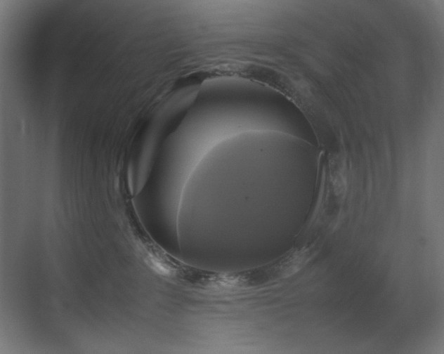 X0000070170235200605261204