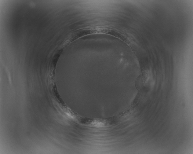 X0000070170236200605261204
