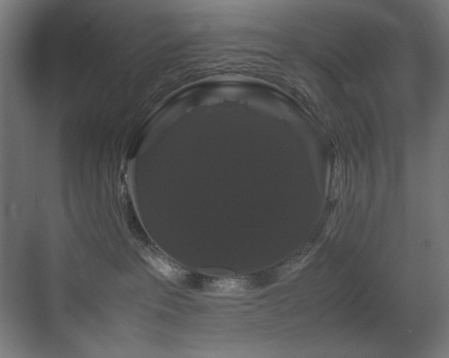 X0000070170237200605261204