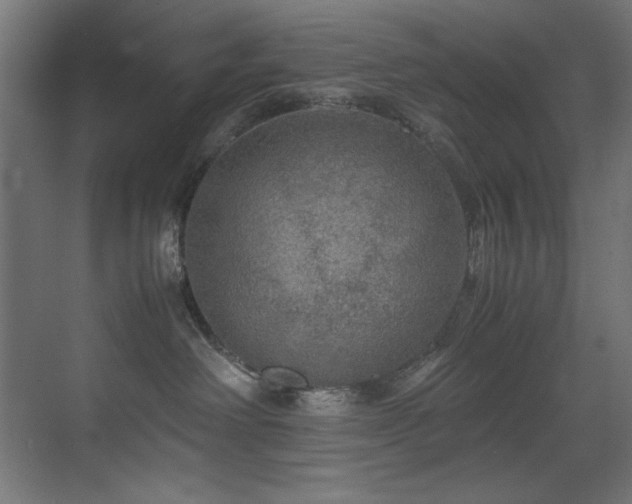 X0000070170238200605261204