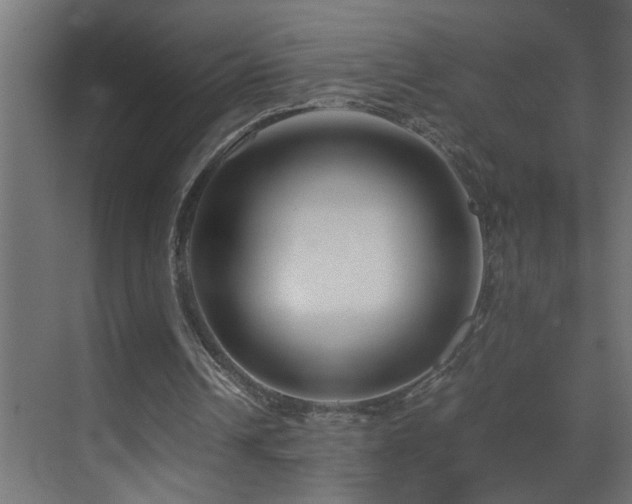 X0000070170242200605261203