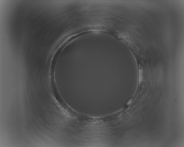 X0000070170243200605261203