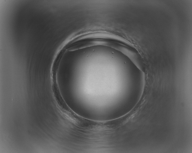 X0000070170246200605261203