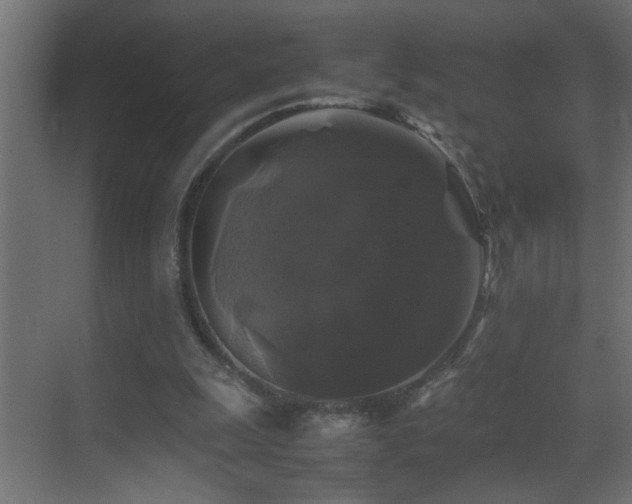 X0000070170247200605261203