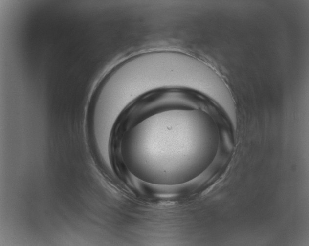 X0000070170248200605261203