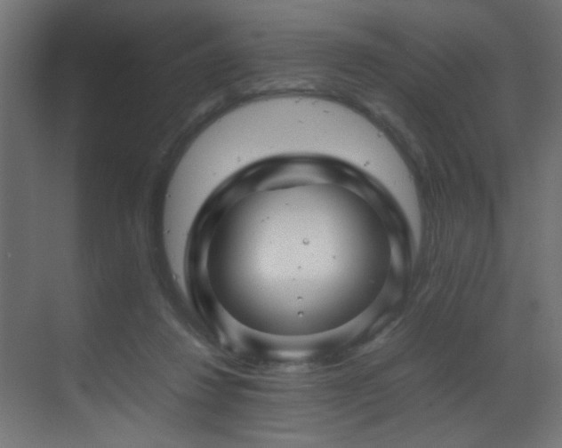 X0000070170260200605261203