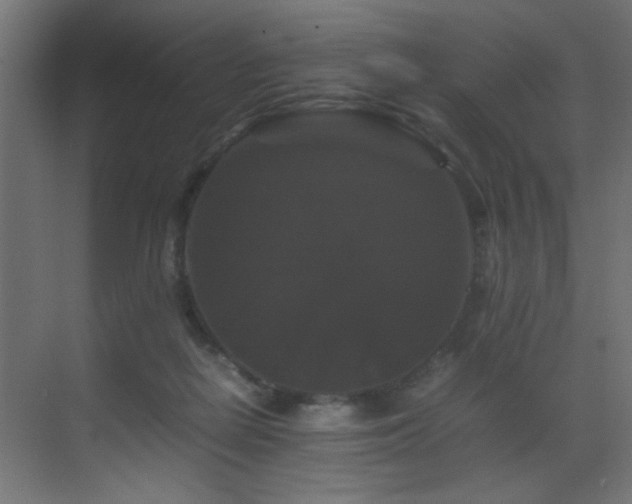 X0000070170266200605261203