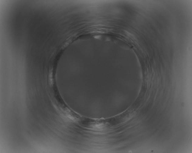X0000070170267200605261203