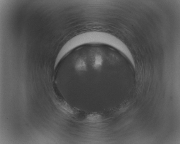 X0000070170271200605261203