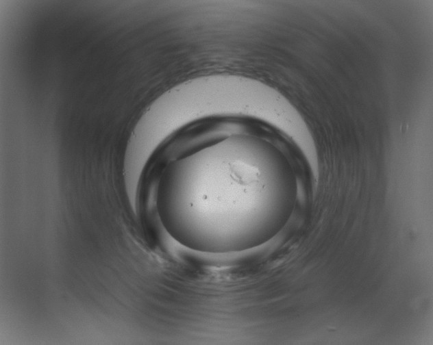 X0000070170276200605261203