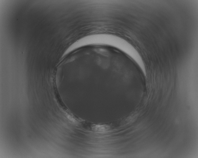 X0000070170277200605261203