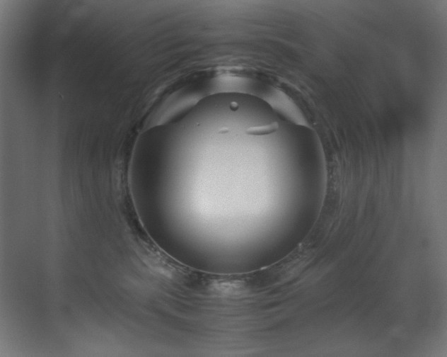 X0000070170283200605261204