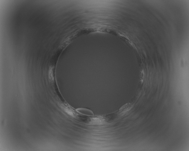 X0000070170286200605261204