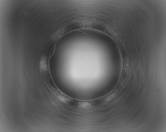 X0000070170287200605261204