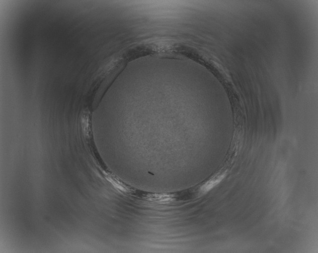 X0000070170288200605261204
