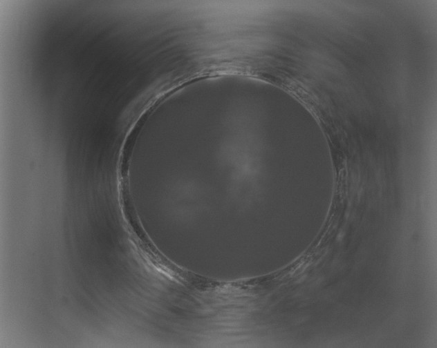 X0000070170290200605261203