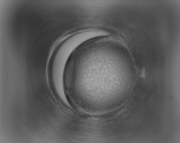 X0000070170294200605261203