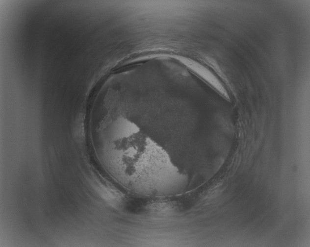 X0000070170299200605261203